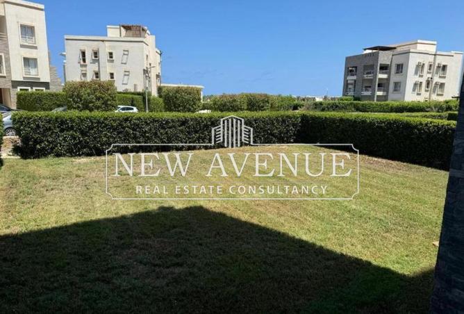 8417485 - Property Image 3