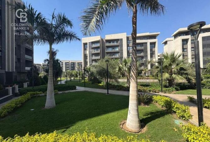 8228113 - صورة العقار 3