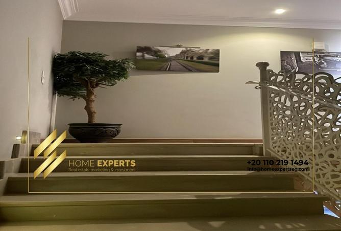 8188635 - Property Image 3