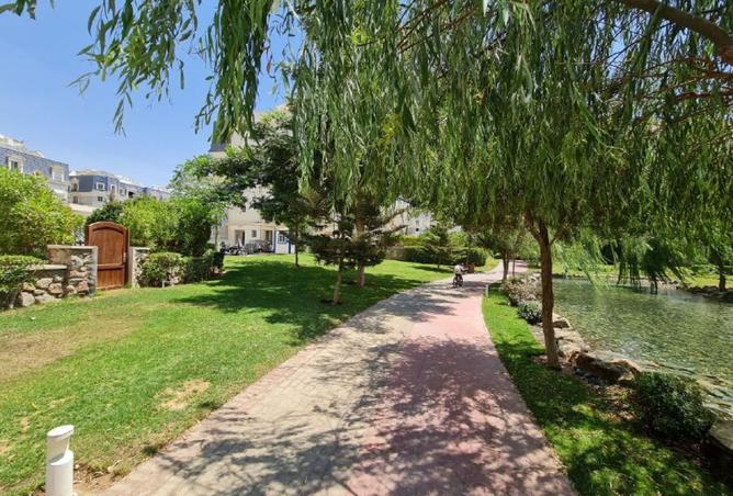 8125620 - Property Image 2