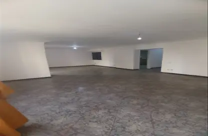 Office Space - Studio - 2 Bathrooms for rent in Mohi Al Din Abou El Ezz St. - Mohandessin - Giza