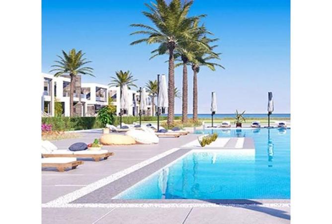 8231111 - صورة العقار 2