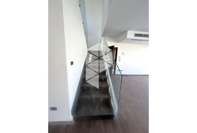 8380751 - Property Image 3