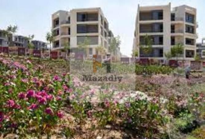 8211306 - Property Image 2