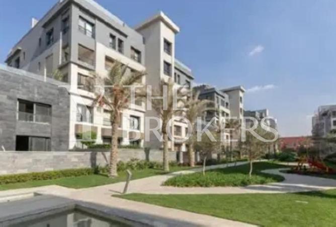 8003132 - Property Image 3