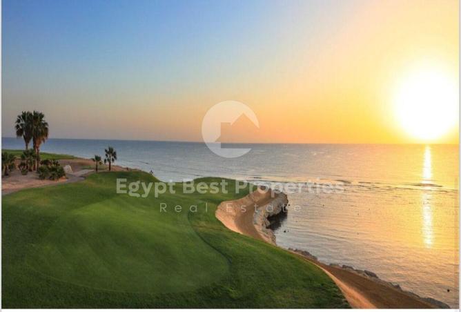 8448960 - صورة العقار 3