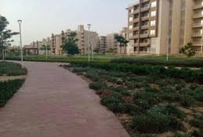 8430514 - الصورة الرئيسية للعقار