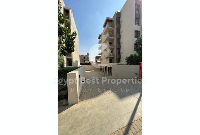 7982889 - صورة العقار 2