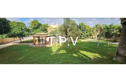 منزل مزدوج - 3 غرف نوم - 4 حمامات للبيع في طيبة كومباوند - المستثمرين الجنوبية - مدينة القاهرة الجديدة - القاهرة منزل مزدوج - 3 غرف نوم - 4 حمامات للبيع في طيبة كومباوند - المستثمرين الجنوبية - مدينة القاهرة الجديدة - القاهرة