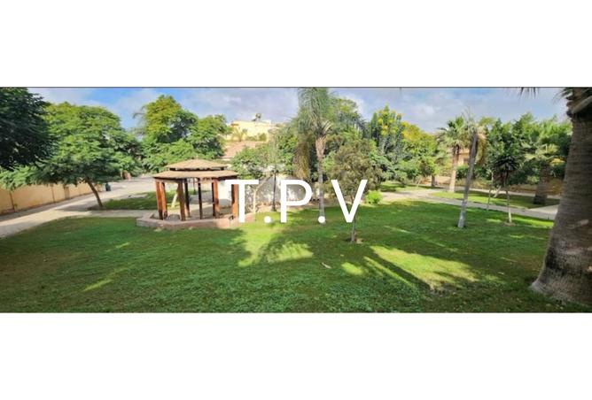 8121186 - الصورة الرئيسية للعقار