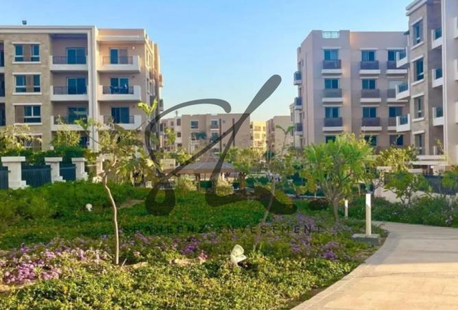 8247988 - صورة العقار 3