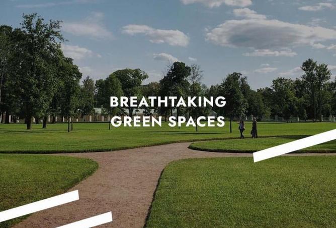 8145036 - Property Image 3