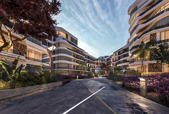 8050256 - Property Main Image