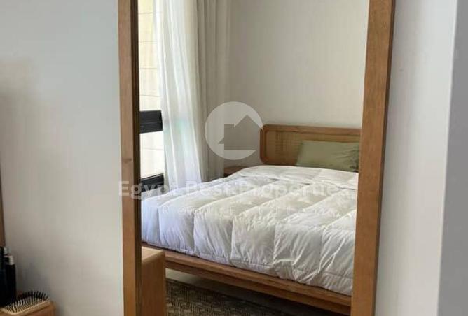 8134161 - Property Image 3
