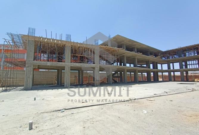 8234663 - Property Image 3