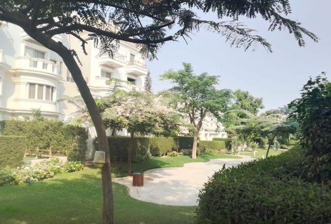 8251670 - صورة العقار 3