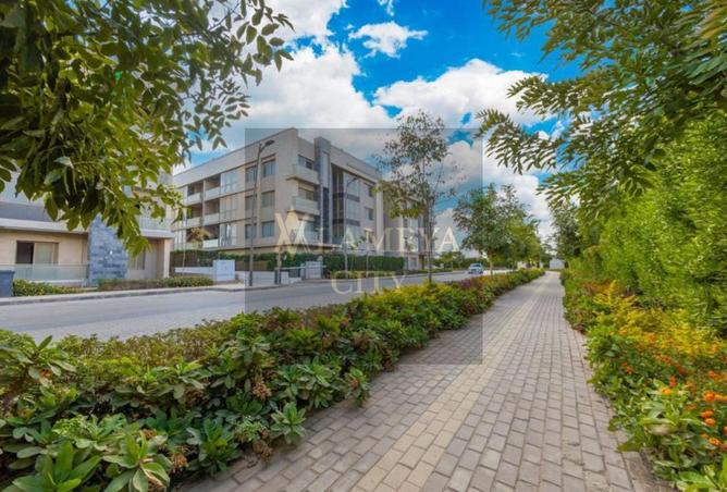 7642535 - الصورة الرئيسية للعقار