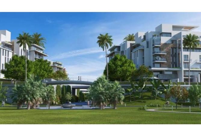 8362867 - Property Image 2