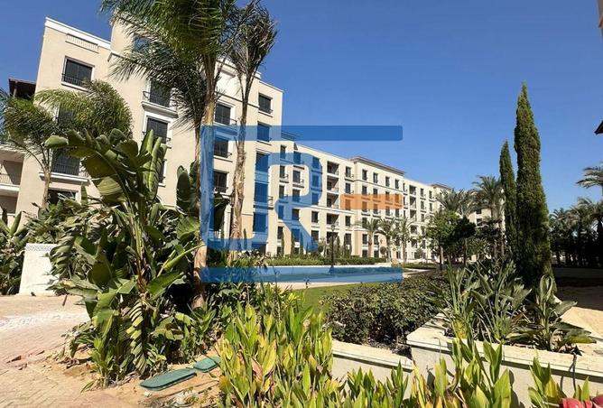 8155562 - Property Image 2