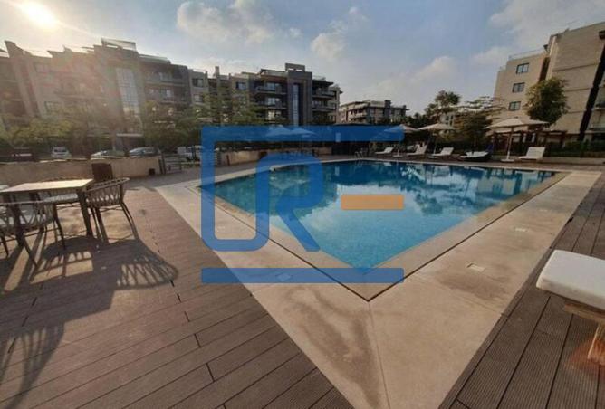 8120952 - Property Image 3