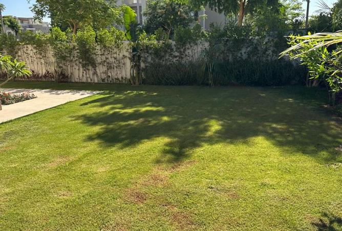 8296558 - Property Image 3