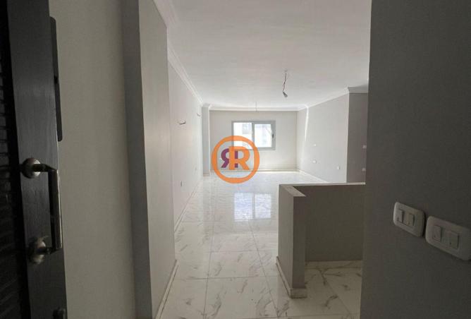 8206758 - Property Image 3