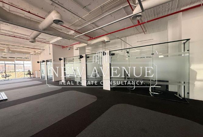 8401387 - Property Image 3