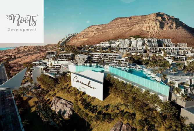 8250875 - Property Image 3