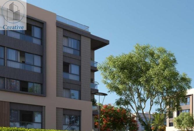 8393997 - Property Image 3