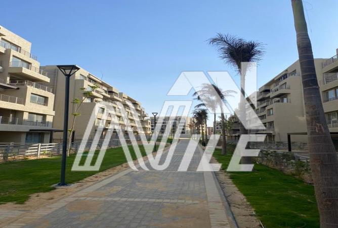 7967198 - صورة العقار 3