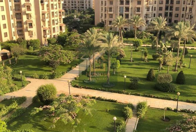 7906530 - صورة العقار 2