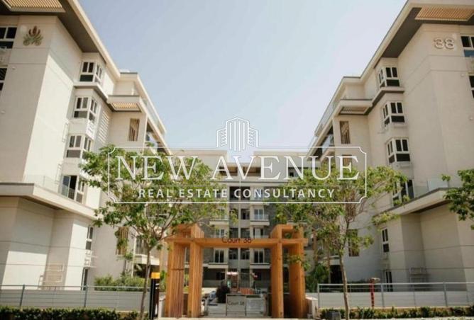 8360671 - Property Image 3