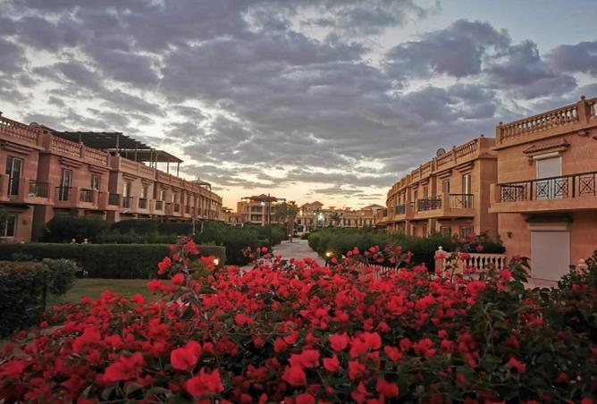 8186475 - صورة العقار 3