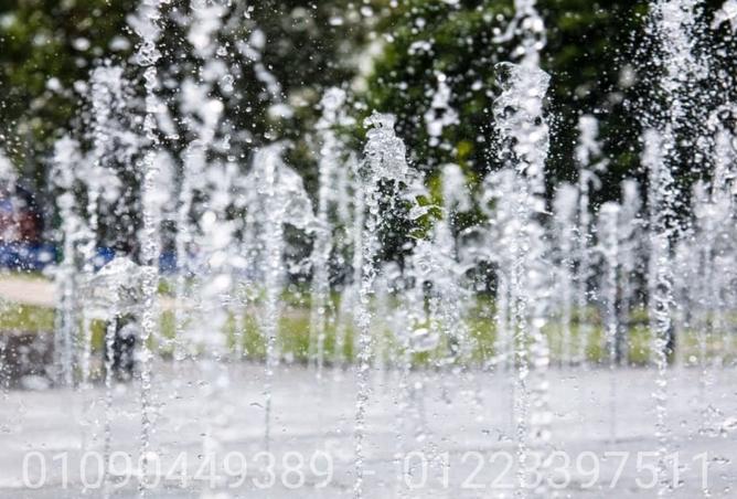7896359 - Property Image 3
