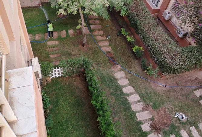 8161204 - صورة العقار 2