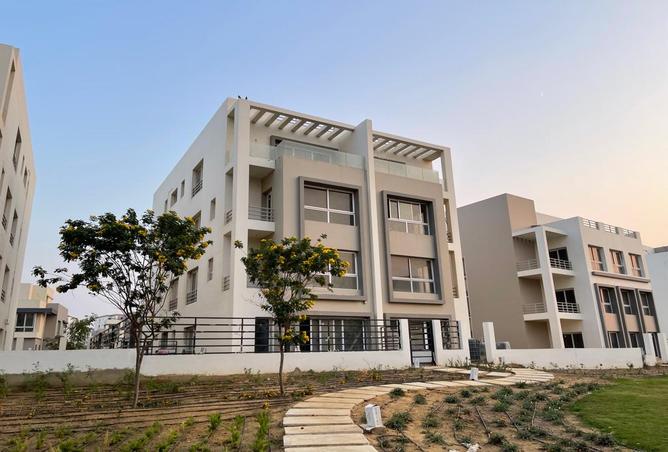 7989724 - Property Image 3