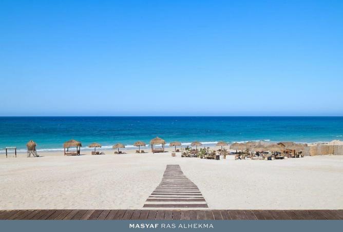 8242788 - Property Image 3