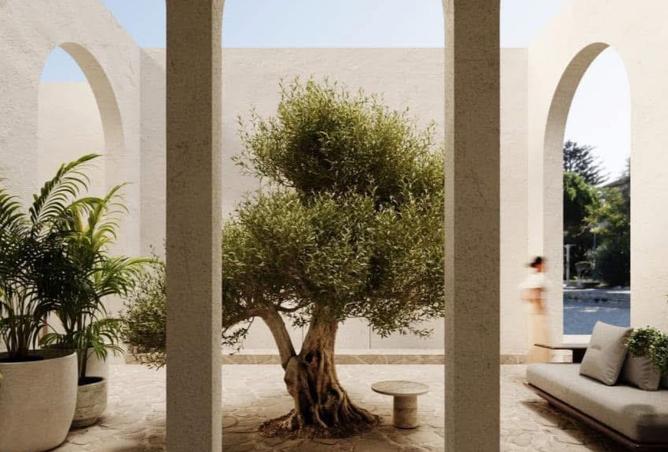 8242224 - Property Image 2