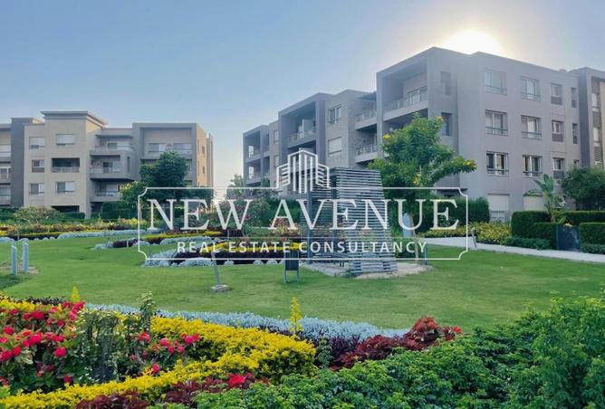 8120883 - صورة العقار 3