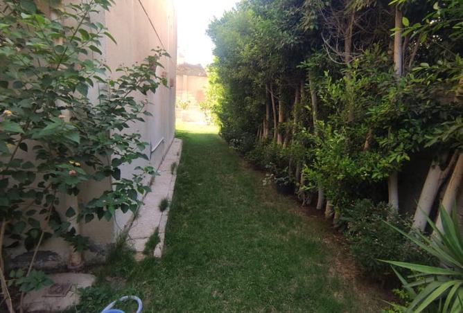 8382142 - صورة العقار 3