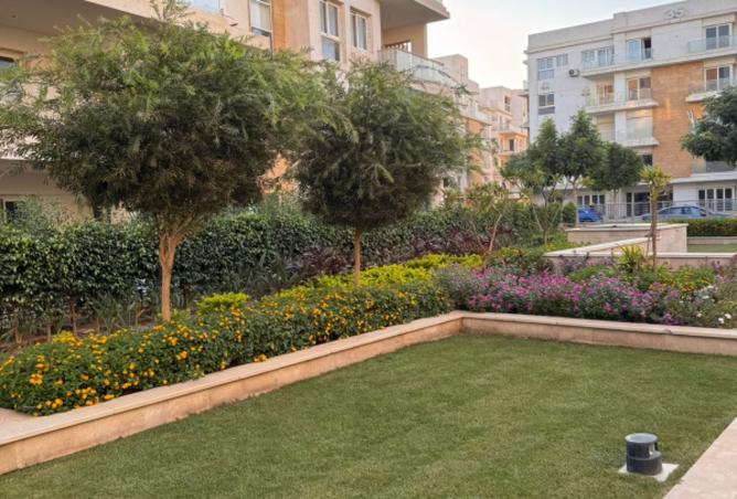 8294981 - صورة العقار 2