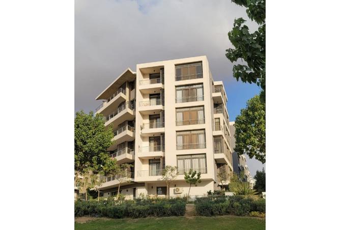 8406792 - Property Image 3