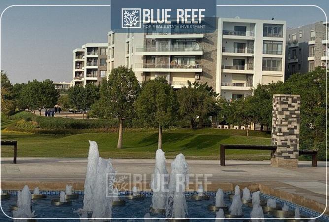 8272345 - صورة العقار 2