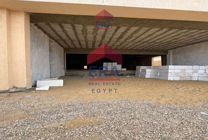 8350796 - Property Image 3