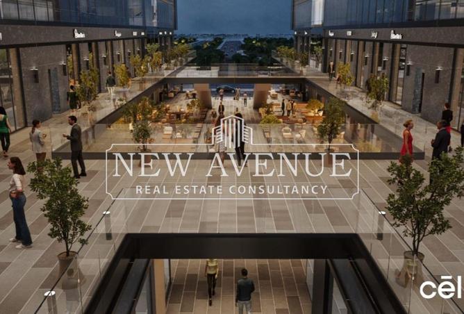 8175455 - Property Image 3