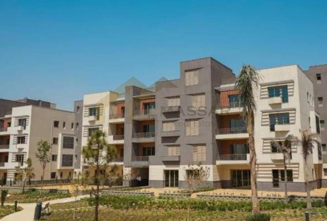 8374838 - Property Image 2