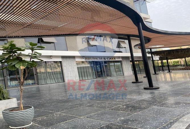 8477621 - Property Image 2