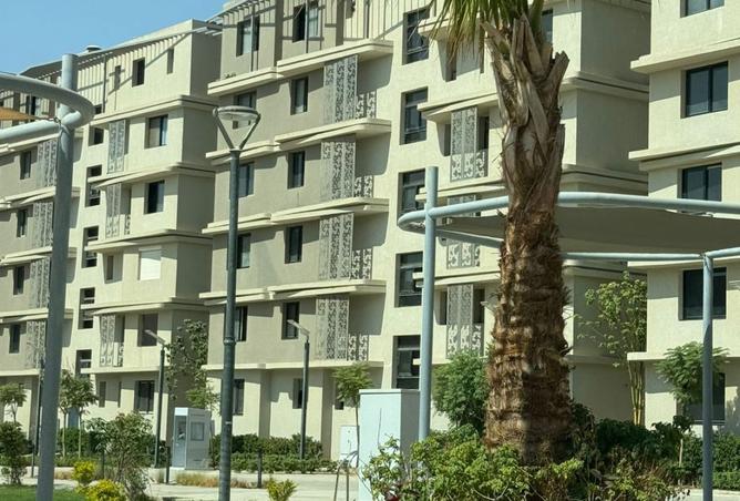 8282848 - Property Image 3