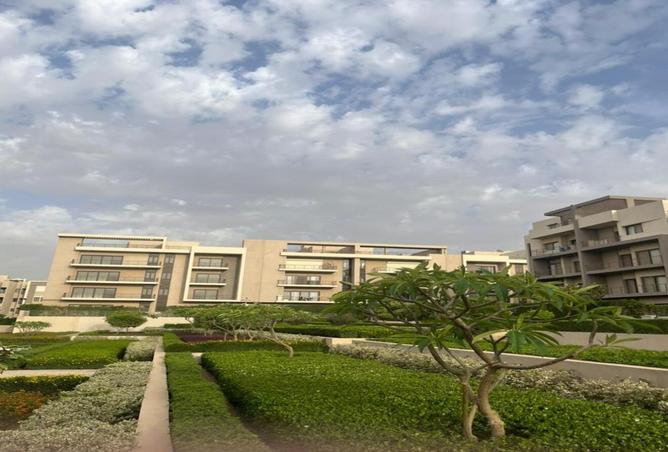7996737 - صورة العقار 3