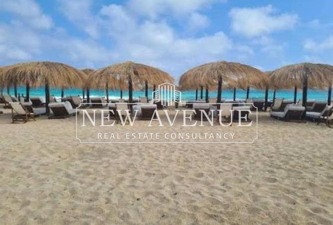 8243176 - صورة العقار 2